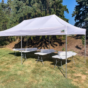 20x10 Graduation Party Tent Naperville